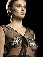 Bridget Hall sexy, see through and braless scans