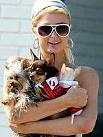Paris Hilton with her small doggies on a beach